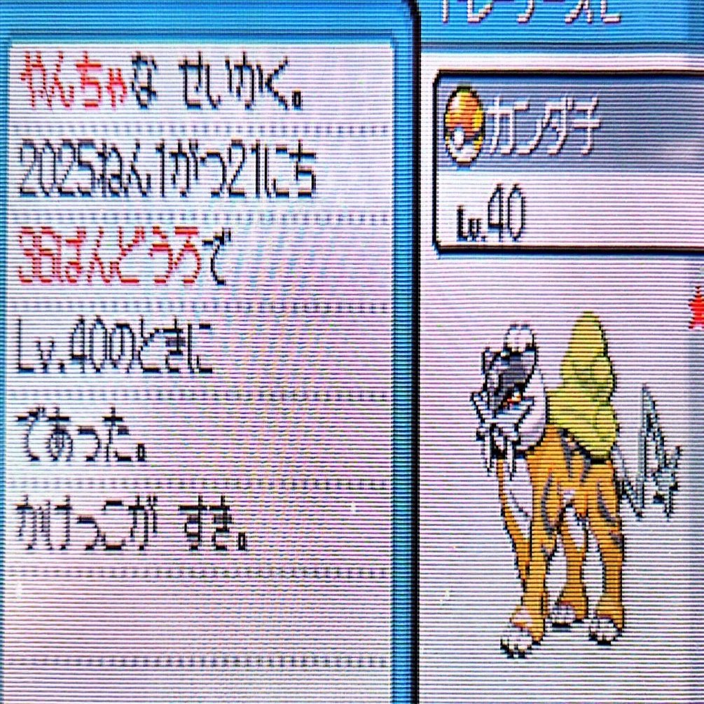 ポケモン サン ソフト 韓国 配布ポケモン 色違いウルガモスなど 貴重 ポケモンSV(スカーレットバイオレット) 韓国ウルガモス 配布の