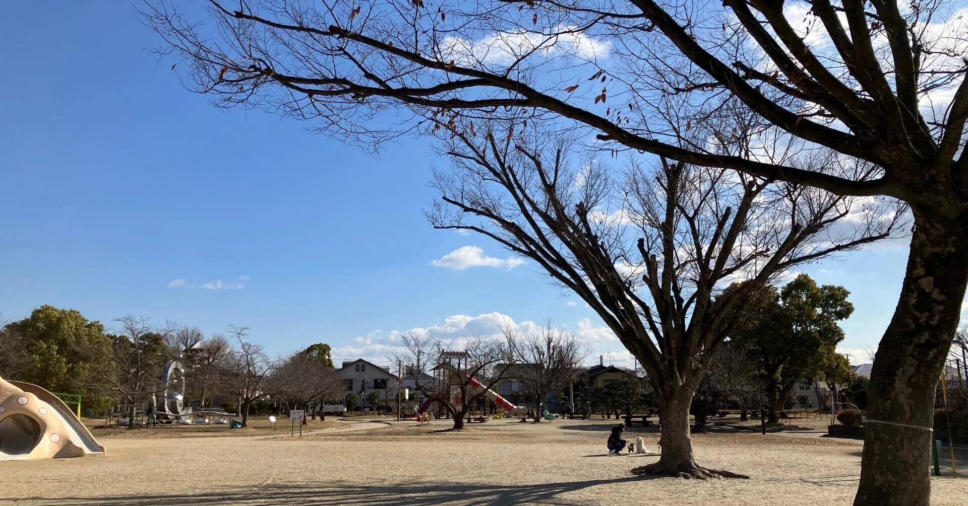 高槻 城 公園