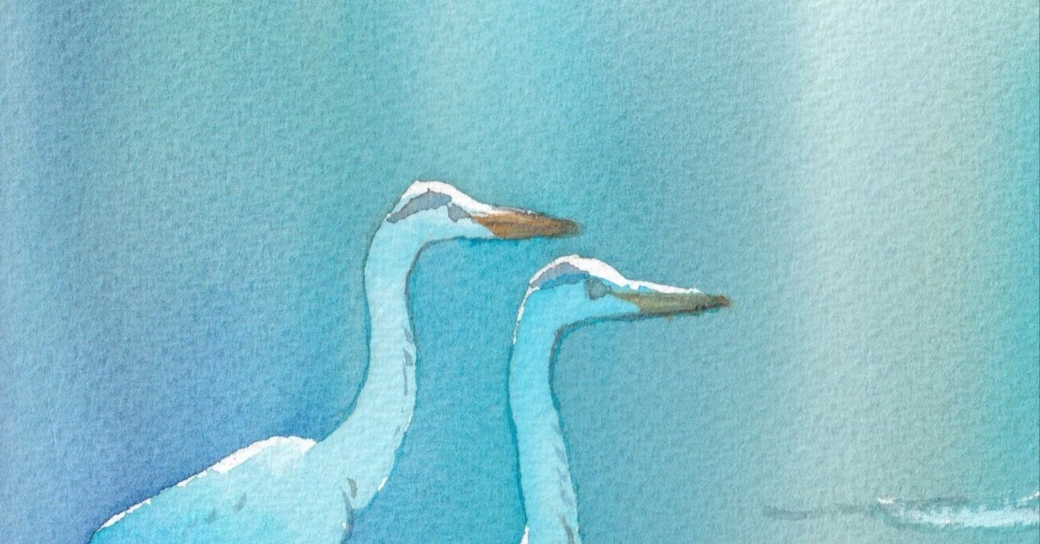 アオサギ油彩画 sddefault.jpg