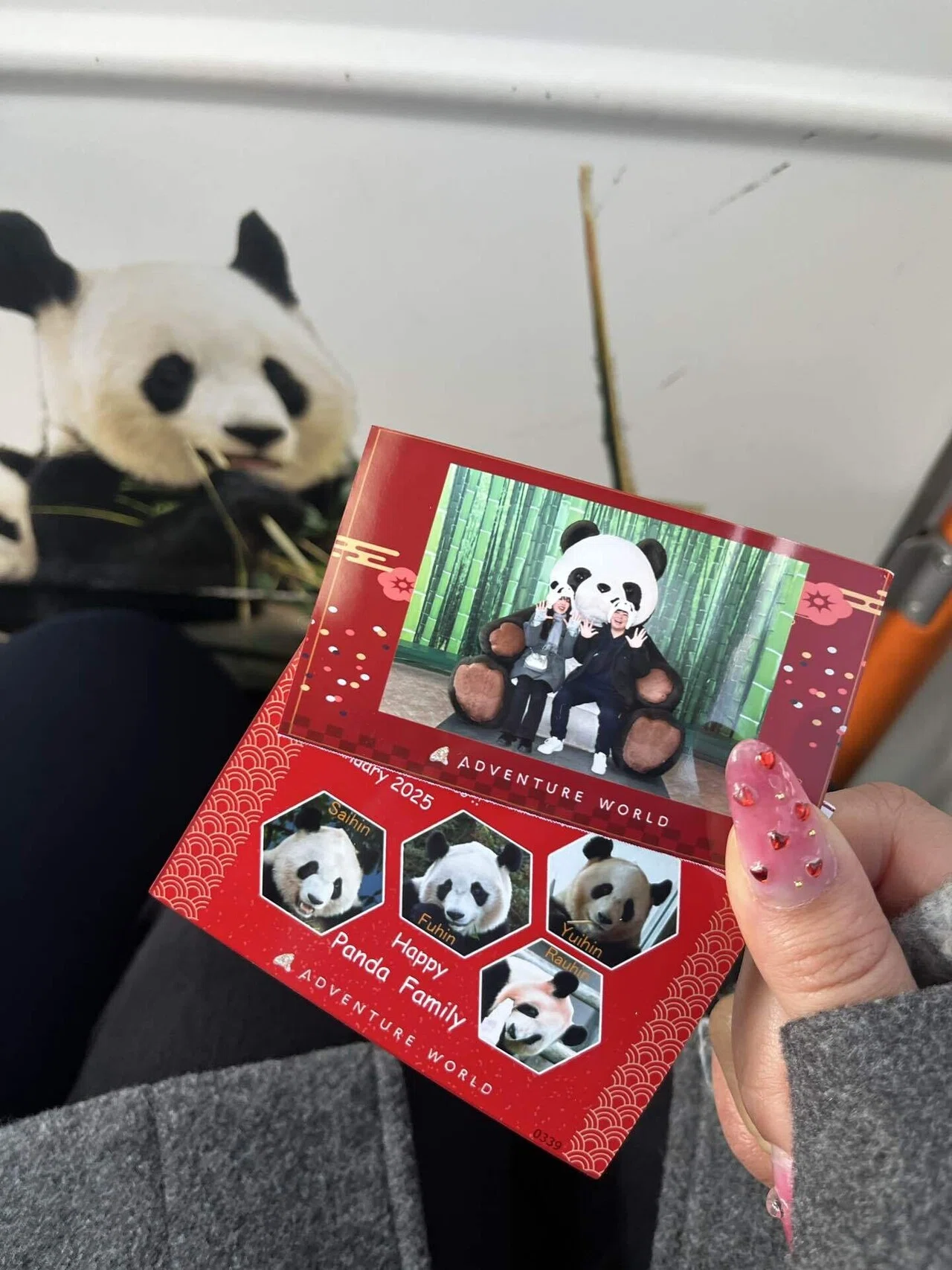 Wakayama] I went to meet the pandas at Adventure World! A one-day