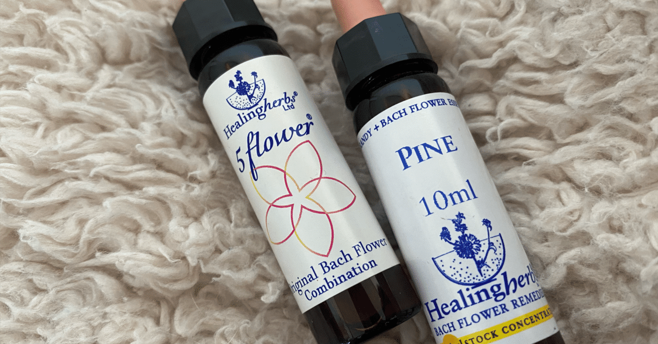 人生のほんの1日】20250130 バッチ博士のフラワーエッセンスの効果