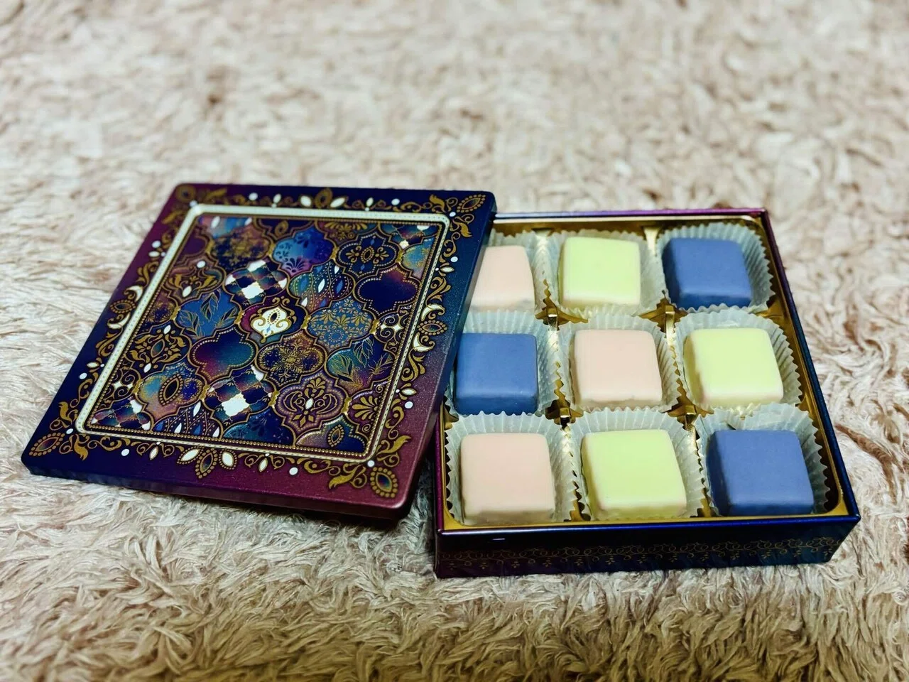 ※確認用　笹の雪×グアダラハラナ　ジェレミー株　　コレクション株　レア交配 チョコ報告2025】ジャミーラ｜四四田 鹿辰(ヨシダ ナレシカ)