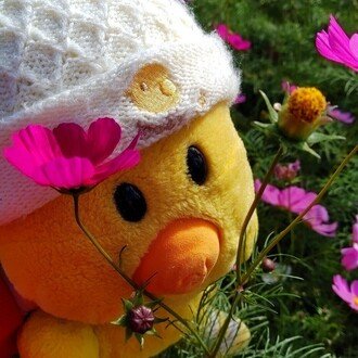 ぴーにゃん（ぴーにゃん）