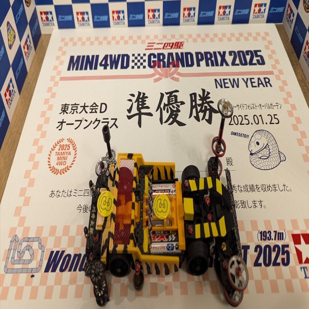 ミニ四駆ニューイヤー東京大会D｜カメ