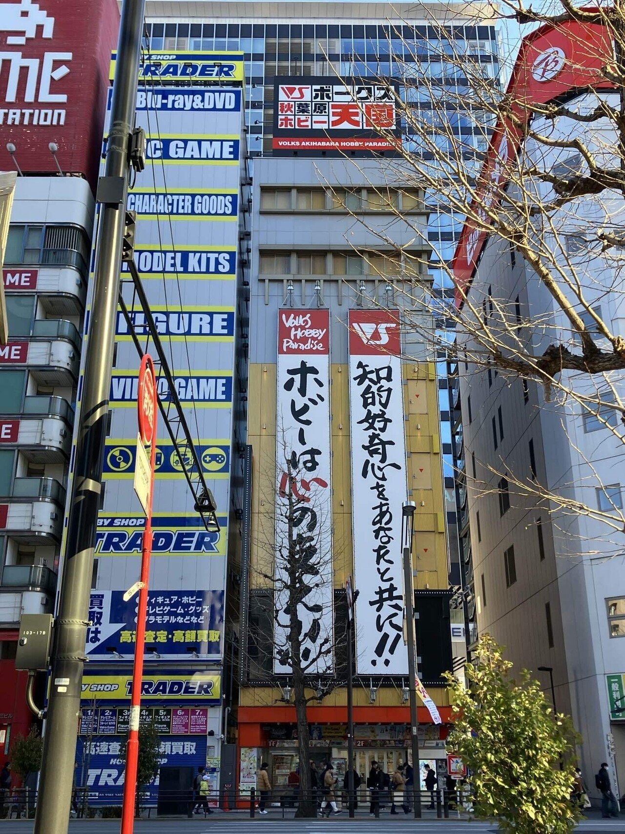 2025/01/26 秋葉原に来たぞ！｜toyotaku3