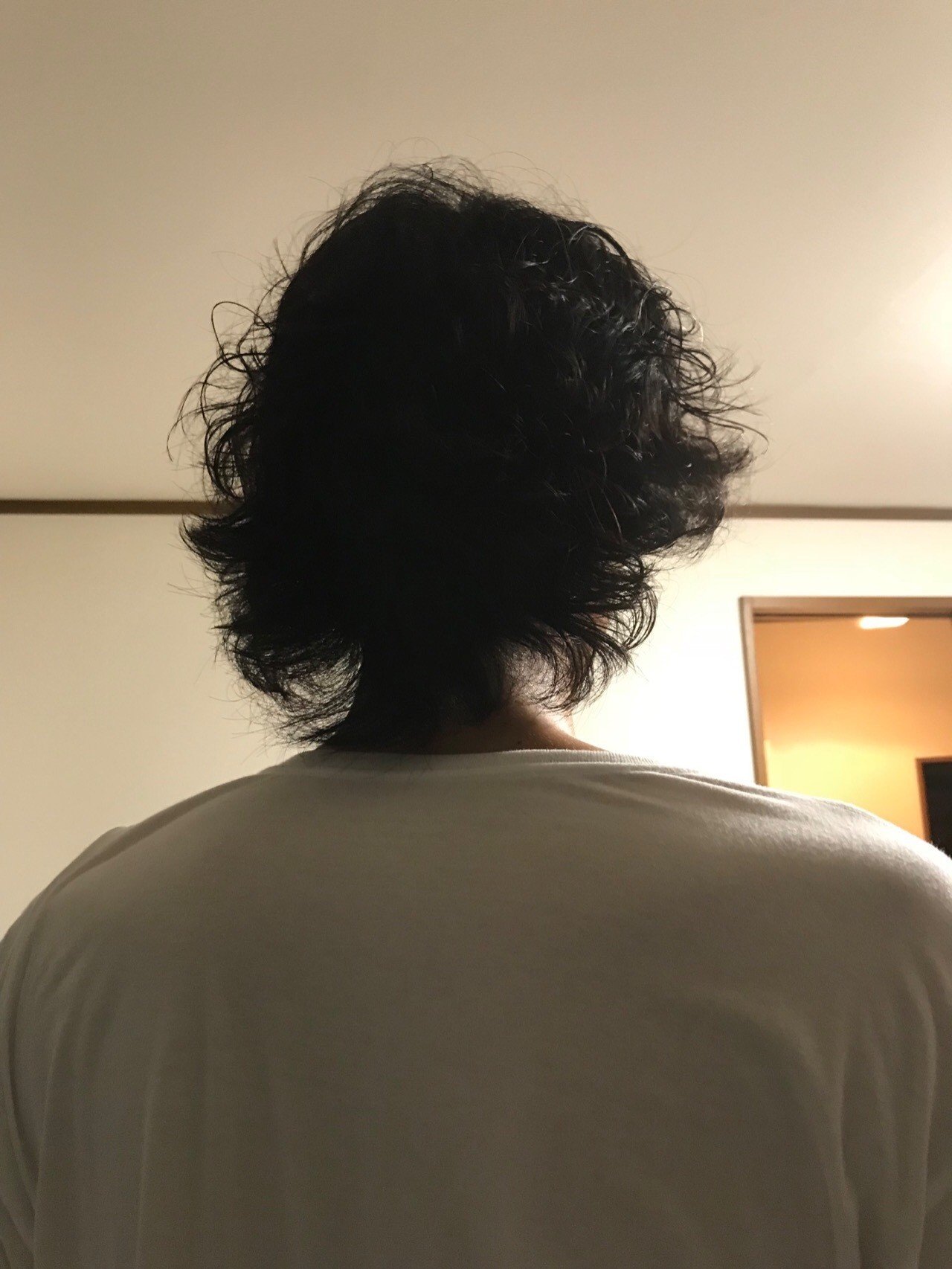 オルガナイザーgx 藤本進という男 ささくれ大名行列 Note オルガナイザーgx 藤本進という男 ささくれ大名行列 Note