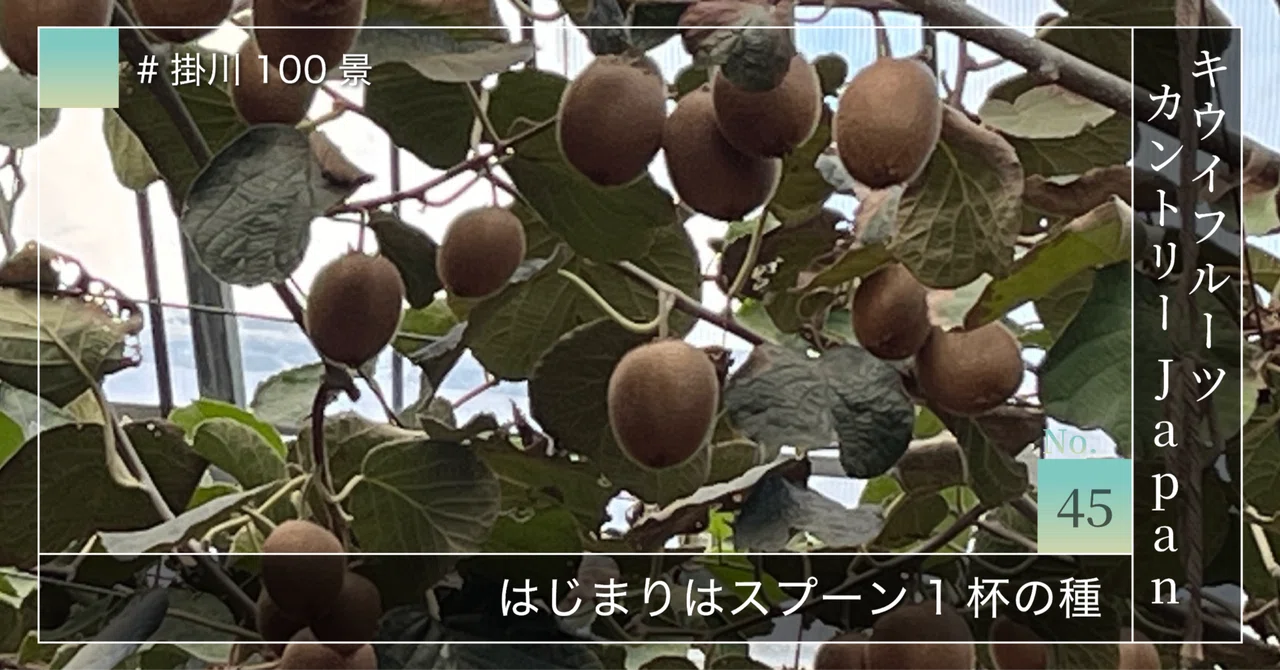 カントリー風 木製農夫と農婦の飾り 掛川100景 【No.45】 キウイフルーツカントリーJapan｜掛川市