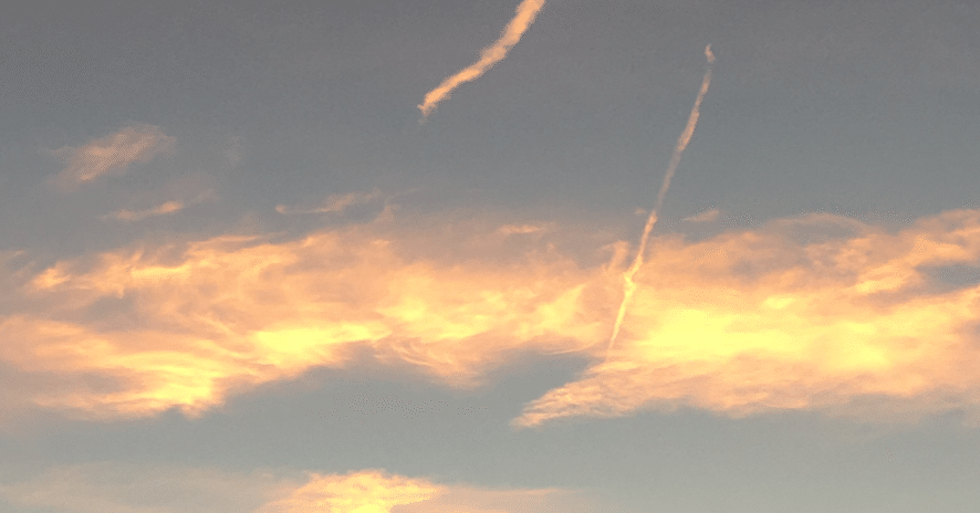 ☀️朝か🌛夕方かAIにきいてみた｜softdevice inc.