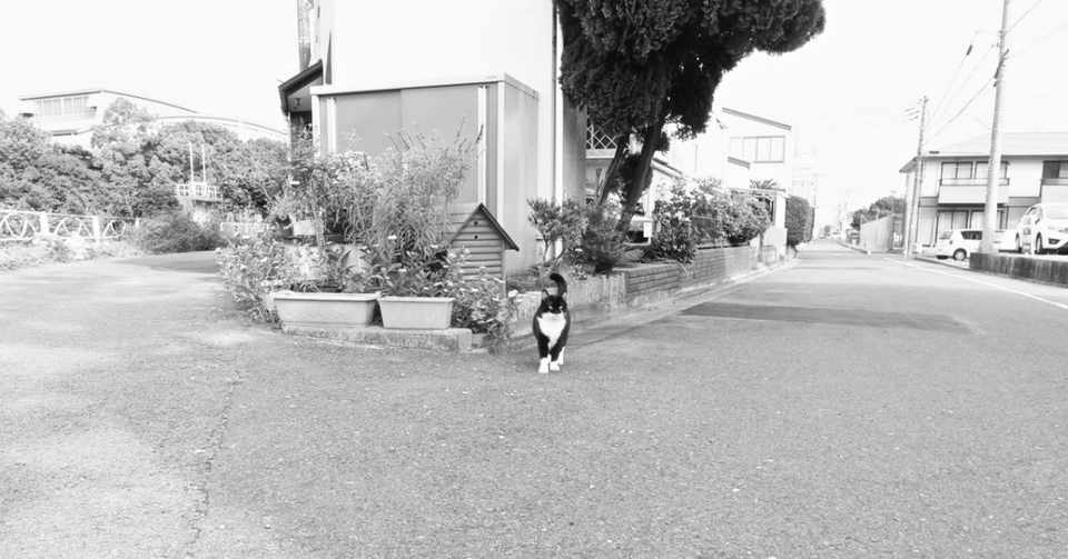 ミシュラングリーンガイドジャポンで 二つ星 寄り道する価値のある を獲得している街並み きっかけ屋 Note