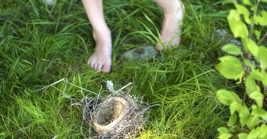 Gardening at Night(夜のガーデニング)：Cig Harvey｜artoday - chiaki