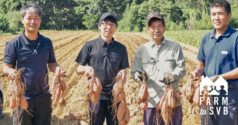 焼き芋の甘さと香ばしさが融合！種子島産安納芋を使ったエールタイプが登場【FARM to SVB #03】