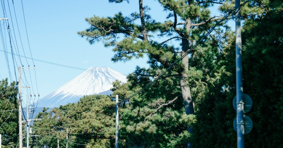 光悦茶碗双六｜柚子と蜜柑