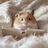 いのっこ