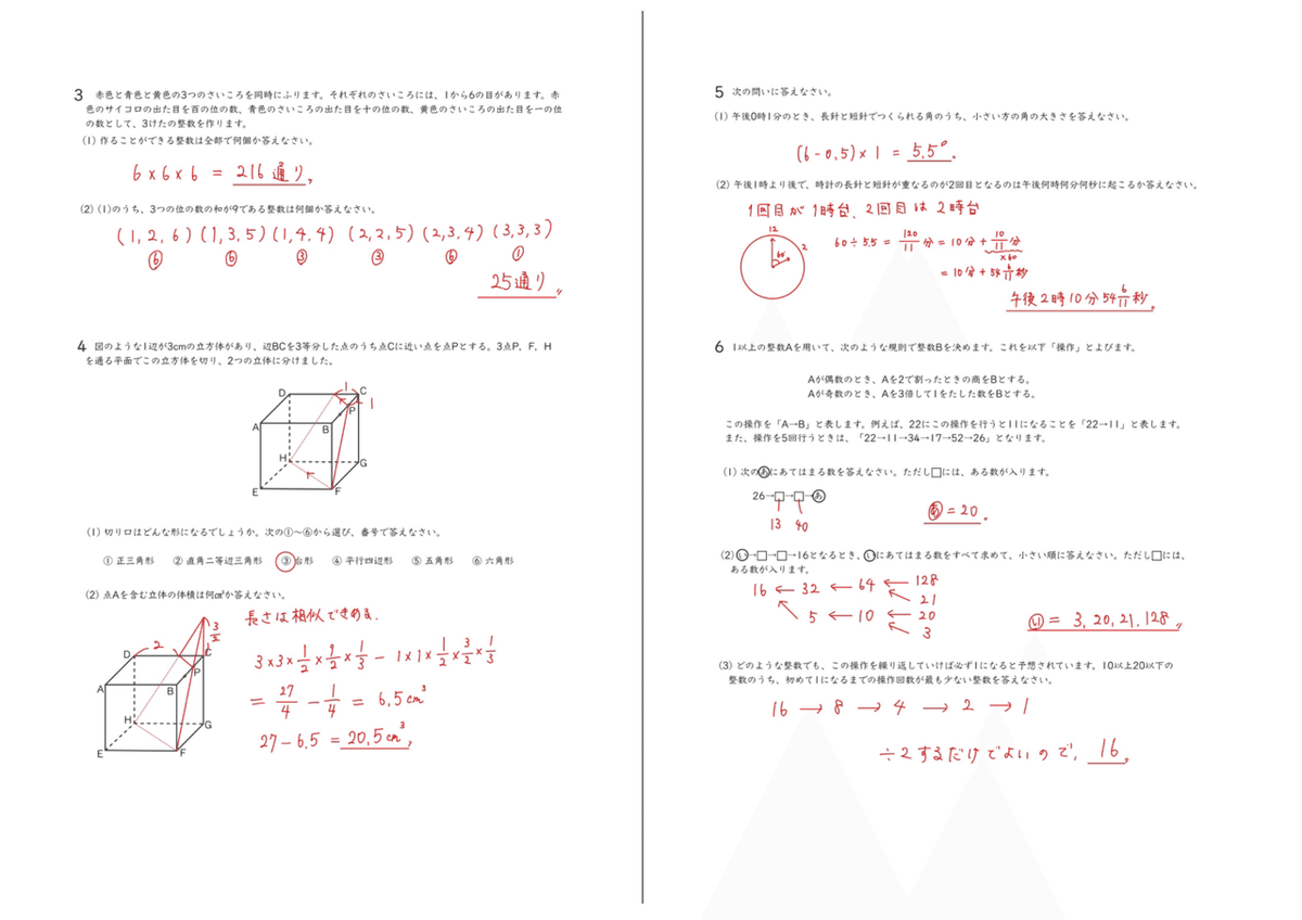 愛知淑徳中学校 入学試験問題集 2025年春受験用 (プリント形式の