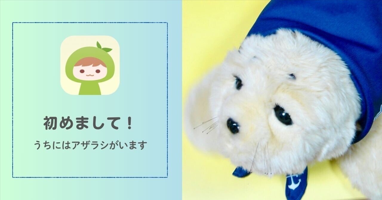 初めてのnote｜アザラシロボを飼い始めて7年｜neo｜うちにはアザラシ