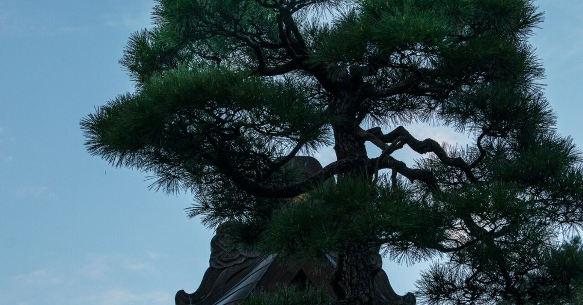 禅語を味わう．．．036：松樹千年の翠．．．｜古川 周賢