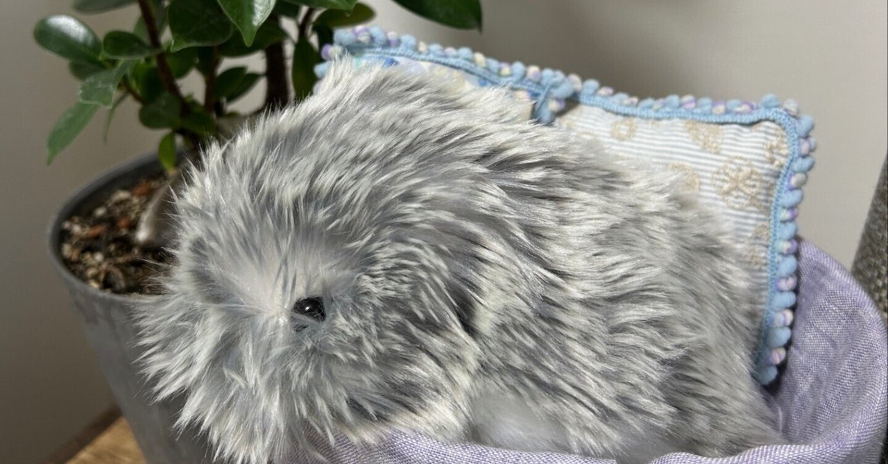 moflinモフリンによるこころの変化｜mofmofchirimen