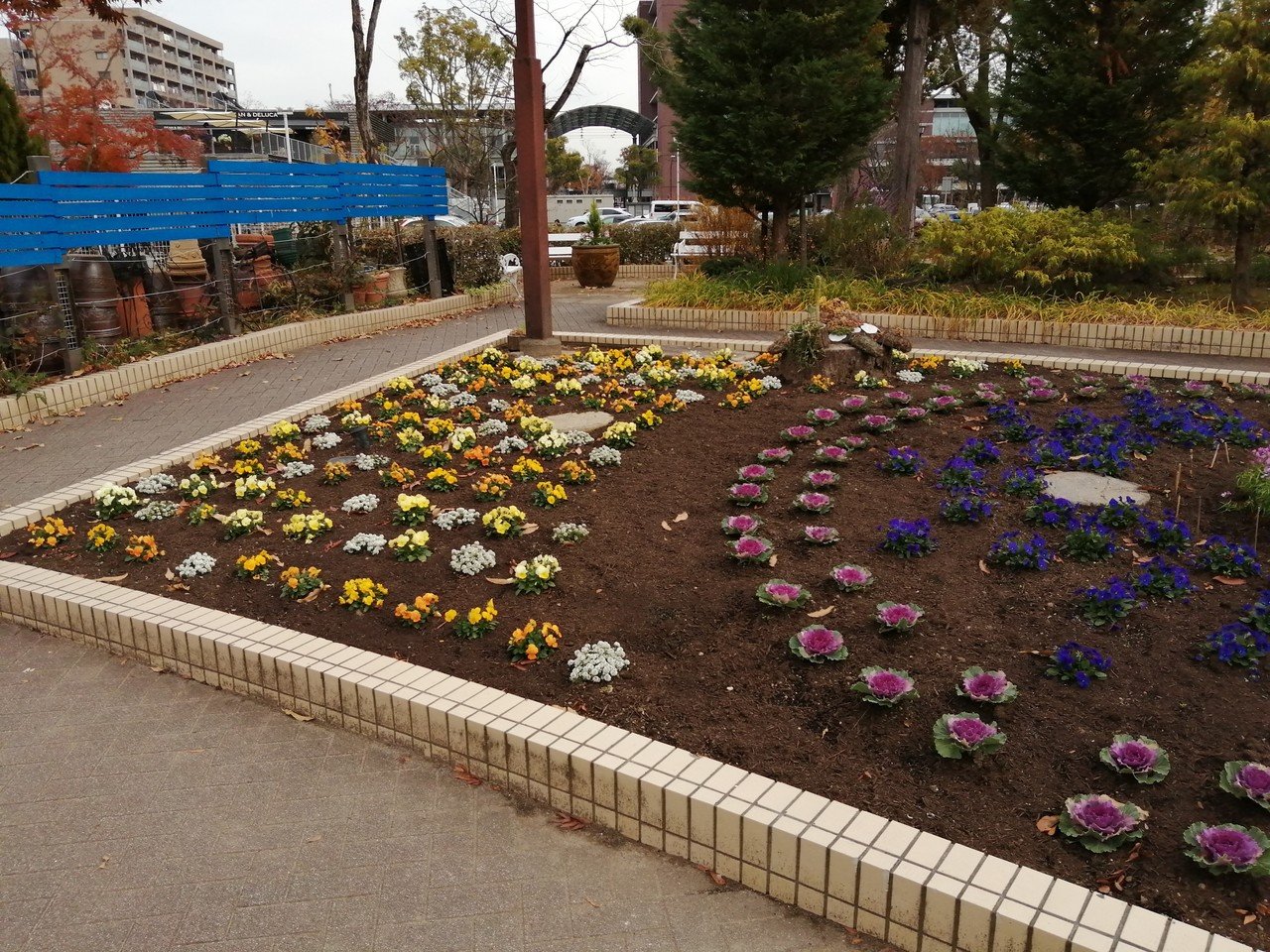 造園会社に学ぶビオラの地植え方法 うつ畑 Note 造園会社に学ぶビオラの地植え方法 うつ畑 Note