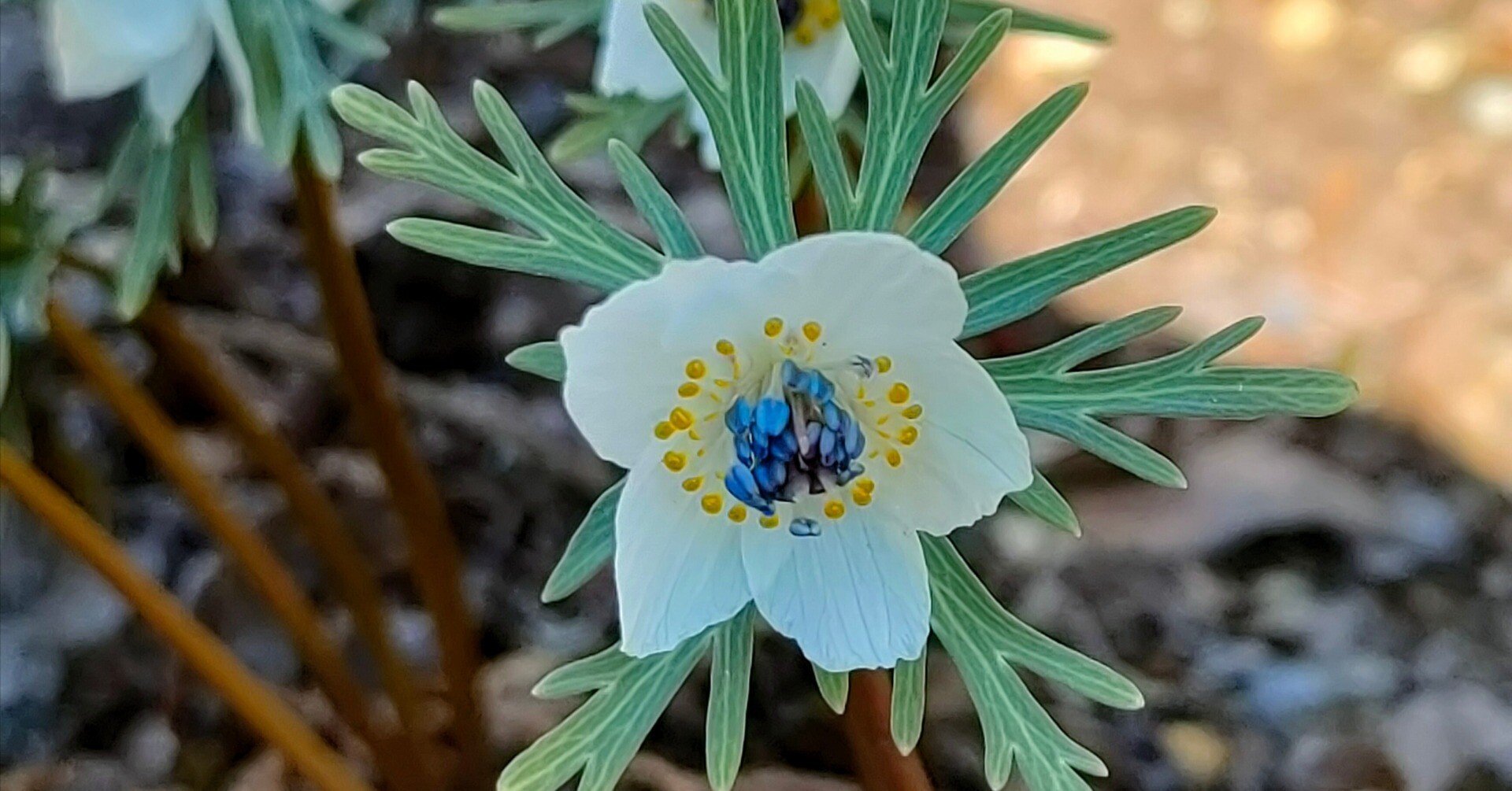 0c13e994e66120fa11a23188155c6e