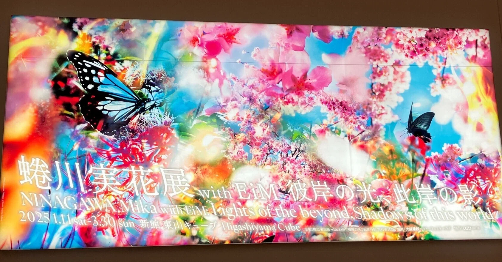 京セラ美術館【蜷川実花展 with EiM：彼岸の光、此岸の影】に足を