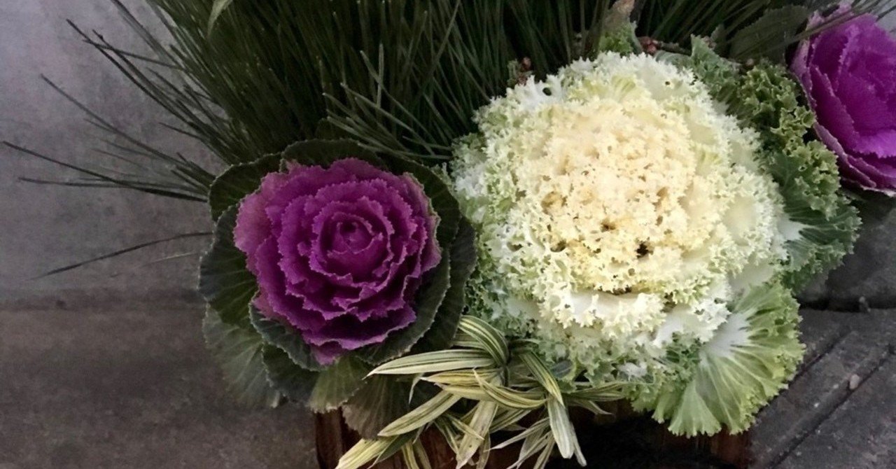 寝て起きたら今日だった 洋介 Note