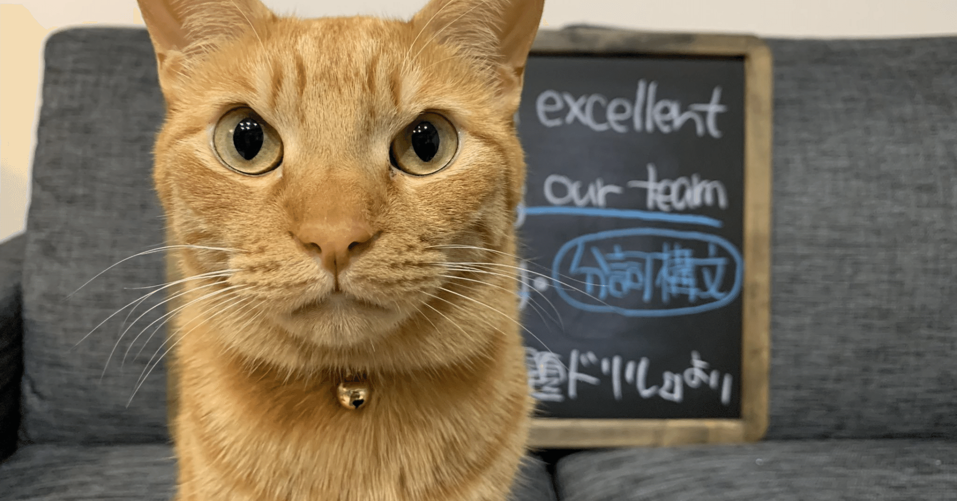 初めてTANAKAのnoteを訪れる方へ｜田中健一／田中先生