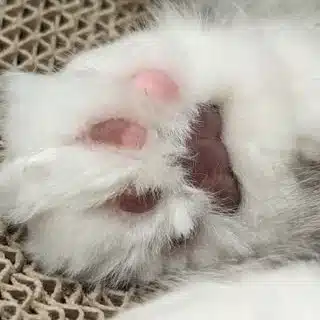榛名つあき｜ライター