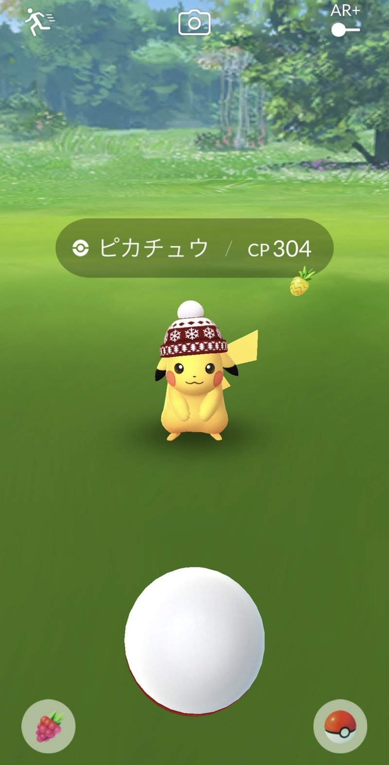 冬のピカチュウ かわいい ごっちゃん Note 冬のピカチュウ かわいい ごっちゃん Note