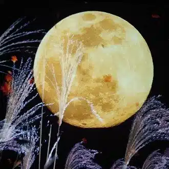 ヒラク∞