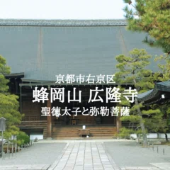 ドラキュラ』（1992）石岡瑛子の衣裳デザインを堪能する映画｜唐崎夜雨