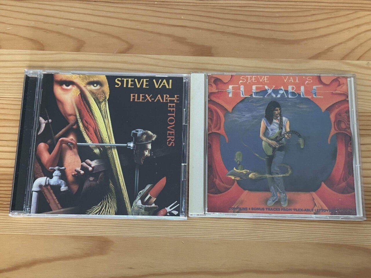 FLEX-ABLE LEFTOVERSの10インチ｜Saki