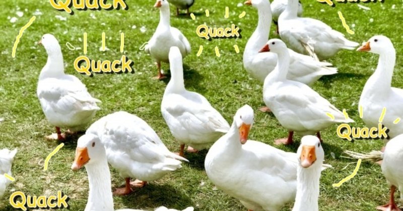 みんな大好き 動物 の歌 Haru Note みんな大好き 動物 の歌 Haru Note