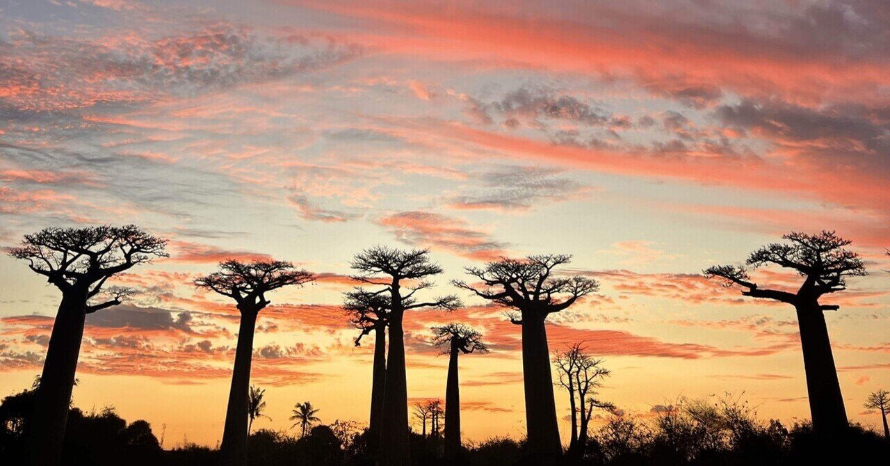 心が震える世界の絶景！】マダガスカルのバオバブ街道｜はせ