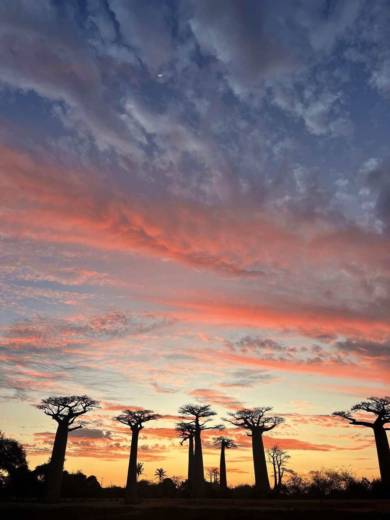 馬のいる景色 馬に乗った人のいる川景色 - Wikipedia