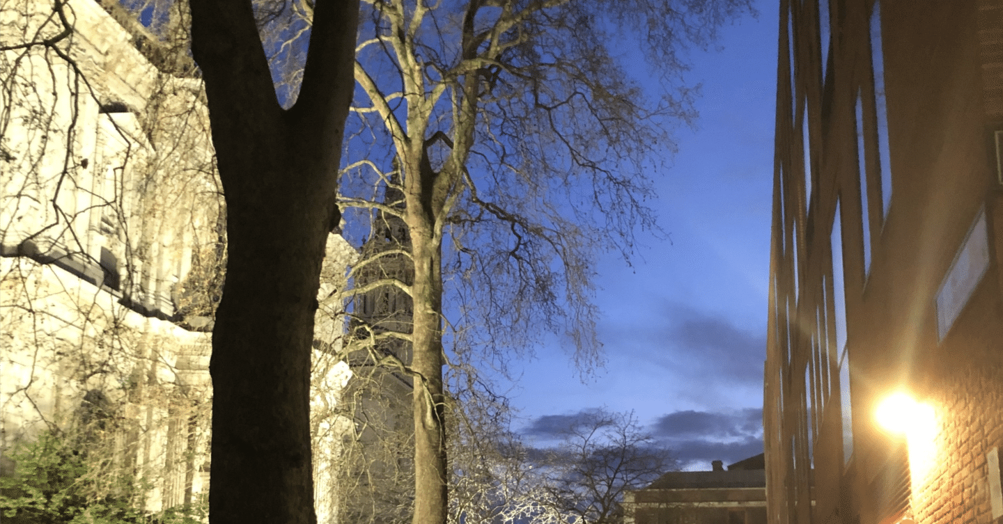 184 【深掘り】悪夢は、nightmare？それともa bad dream？｜ari