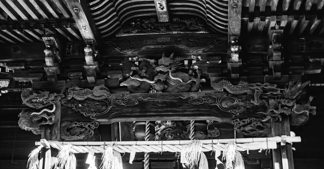 戦後の蛇腹レンズ 】TOHO Anastigmat 80mm F3.5 M42 Old Lens 遊び