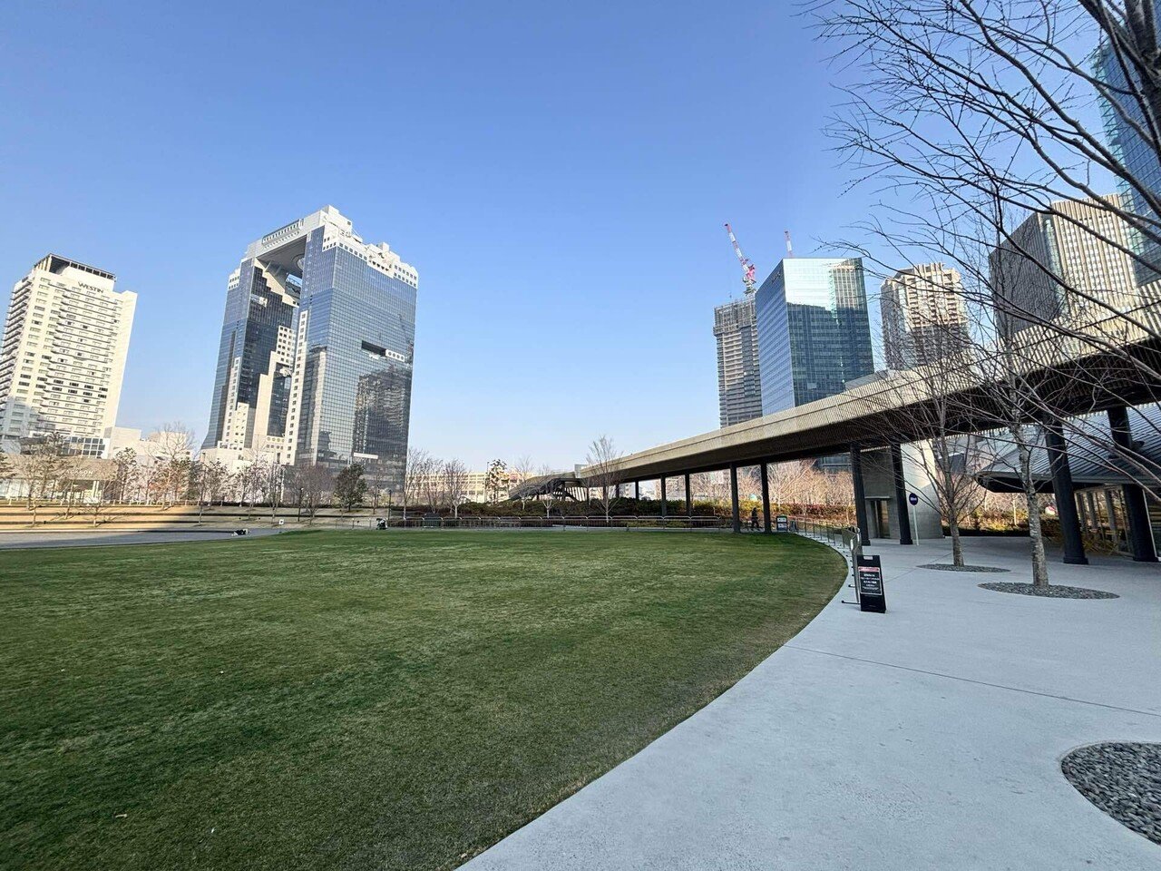 都会の中の癒し空間「グラングリーン大阪」で感じる朝の贅沢｜黒田弥生