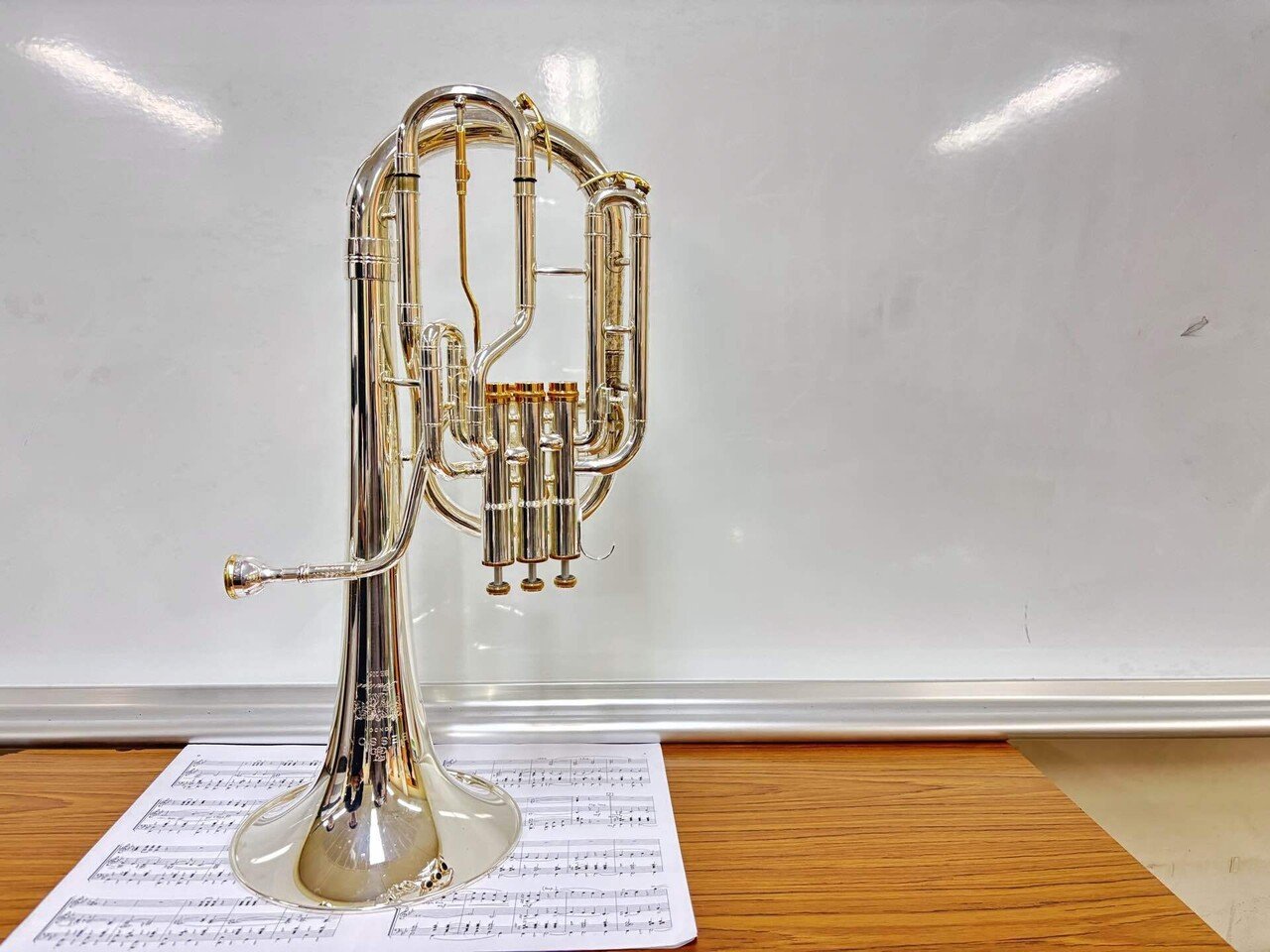 テナーホーンの好きなところ。｜石田モアイ🗿Brassband