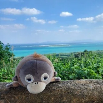 矢野アミノ