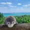 矢野アミノ