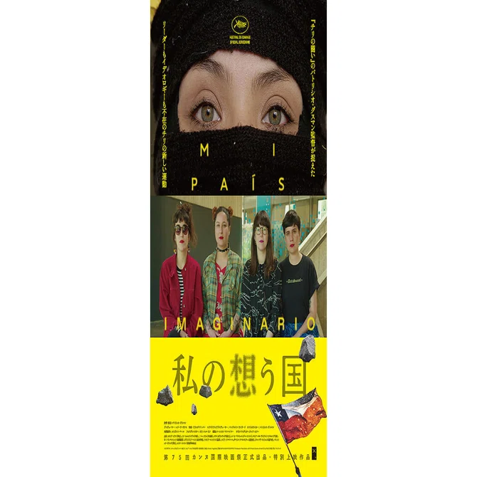 チリのドキュメンタリー映画を観る。パトリシオ・グスマン監督｜やどかり