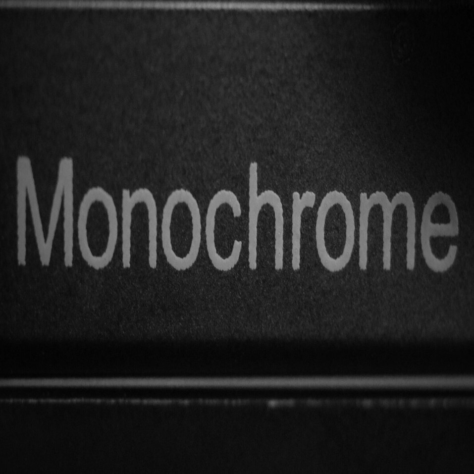 Kｰ3ⅢMonochromeの感想と撮った写真たち。｜鶏(とり)
