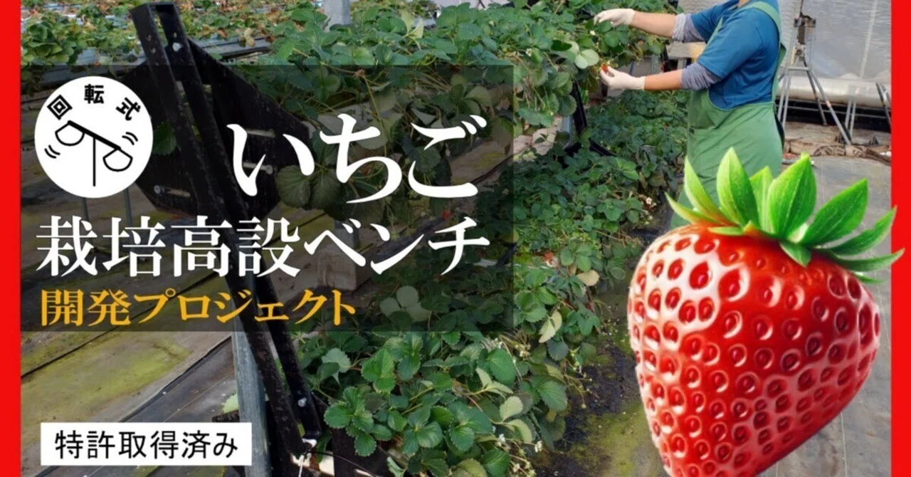 オリジナルいちご高設ベンチの開発｜朱りファーム