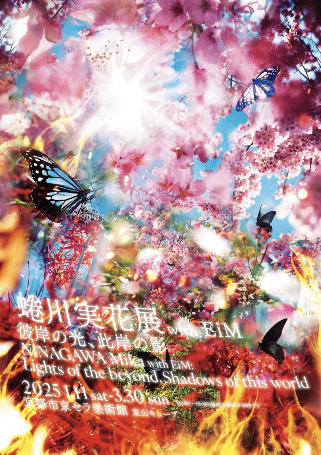 🎨】蜷川実花展｜ぐら
