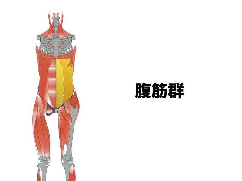 スポーツ選手向けストレッチ動画 腹筋 平 純一朗 Pt Jspo At Note