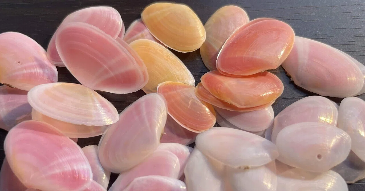 海からの贈り物、シーグラス(全て自然採取) （海からの贈り物 