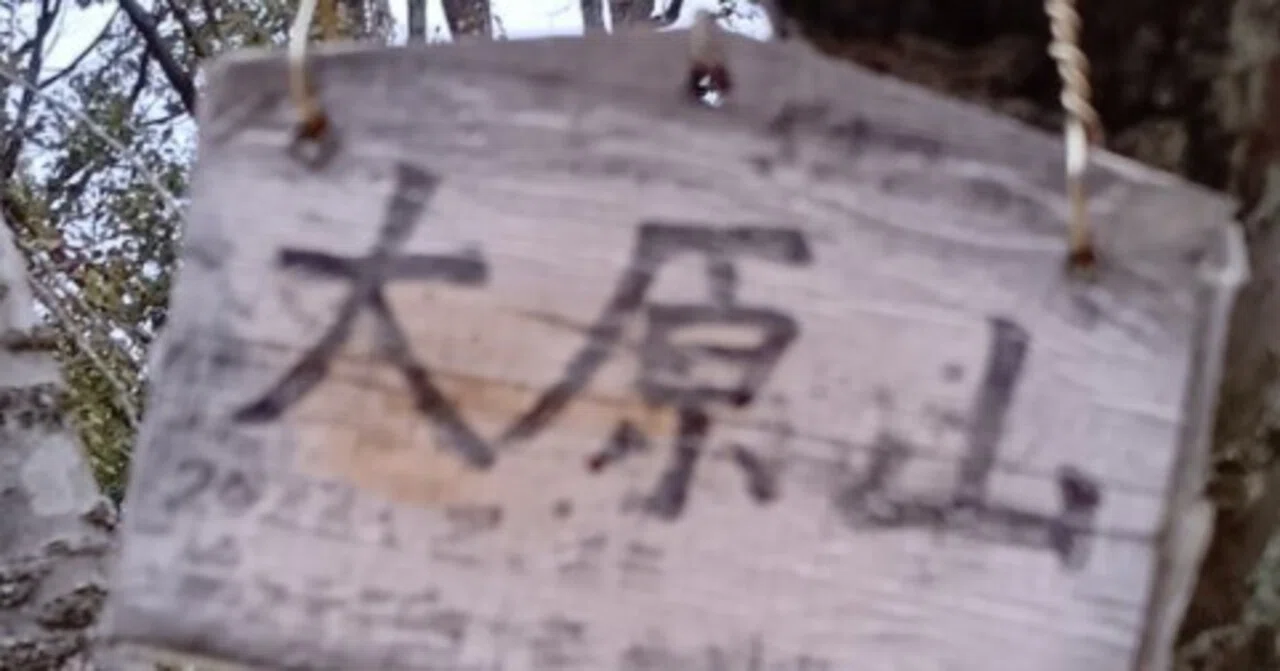 低山ハイク｜生駒の神仏「千光寺」「枚岡神社」＊元山上口駅〜鳴川峠 