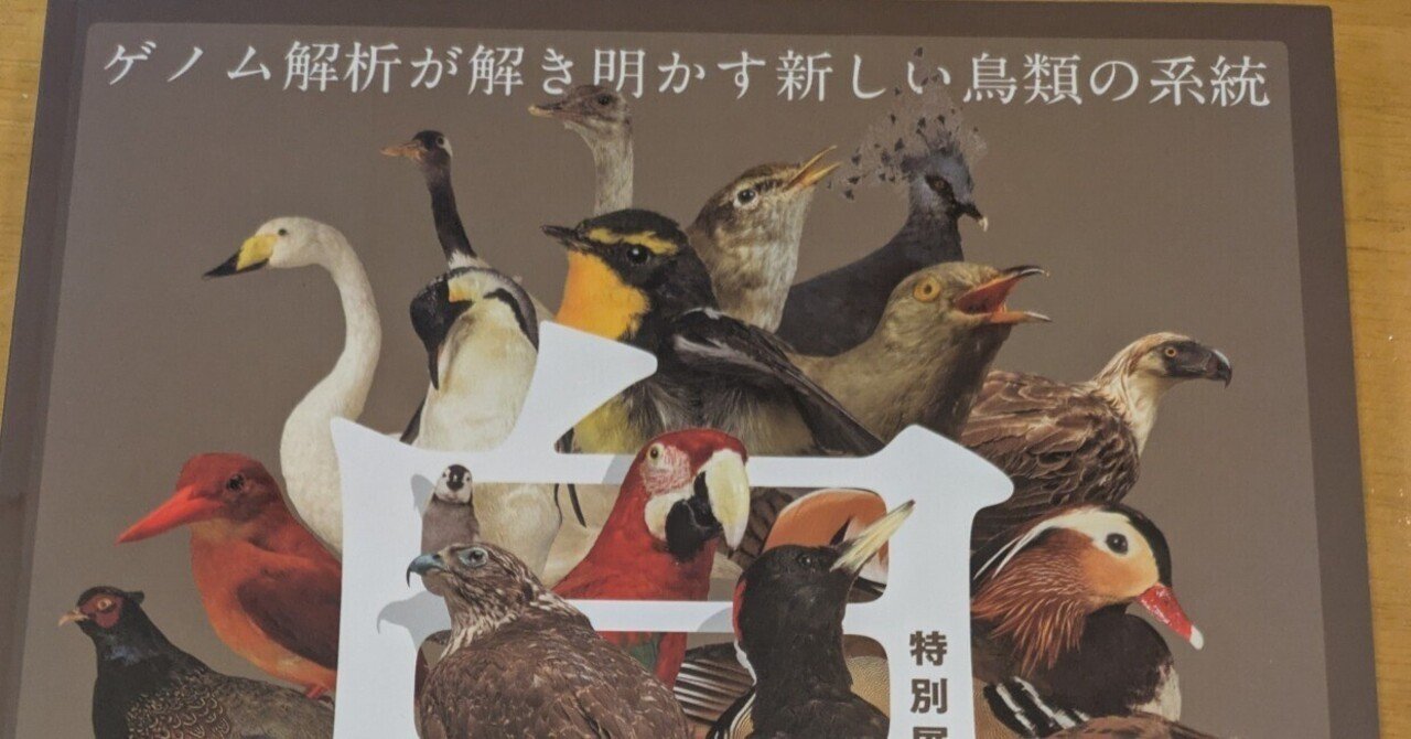 鳥類学 150体限定・シリアルナンバー付き／未塗装・未組み立てレジンキット