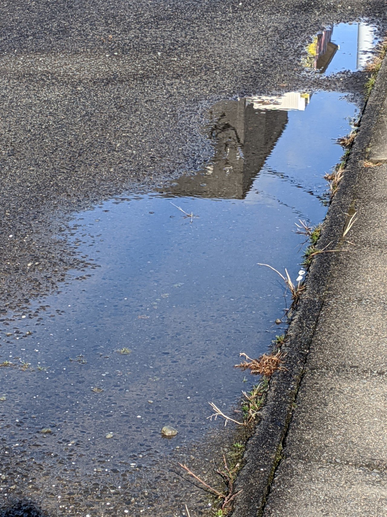 雨上がりの空が水たまりに映る 南葦 ミト Note