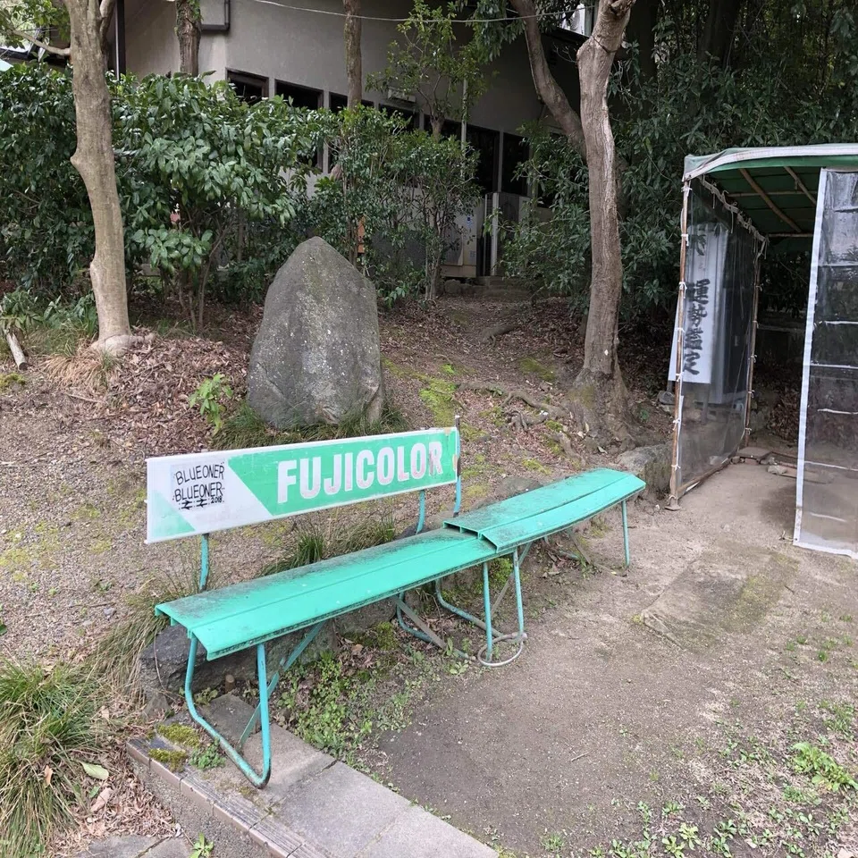 フジベンたずねて三千里｜謳い文句